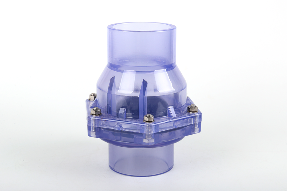 阜宁透明翻板式止回阀